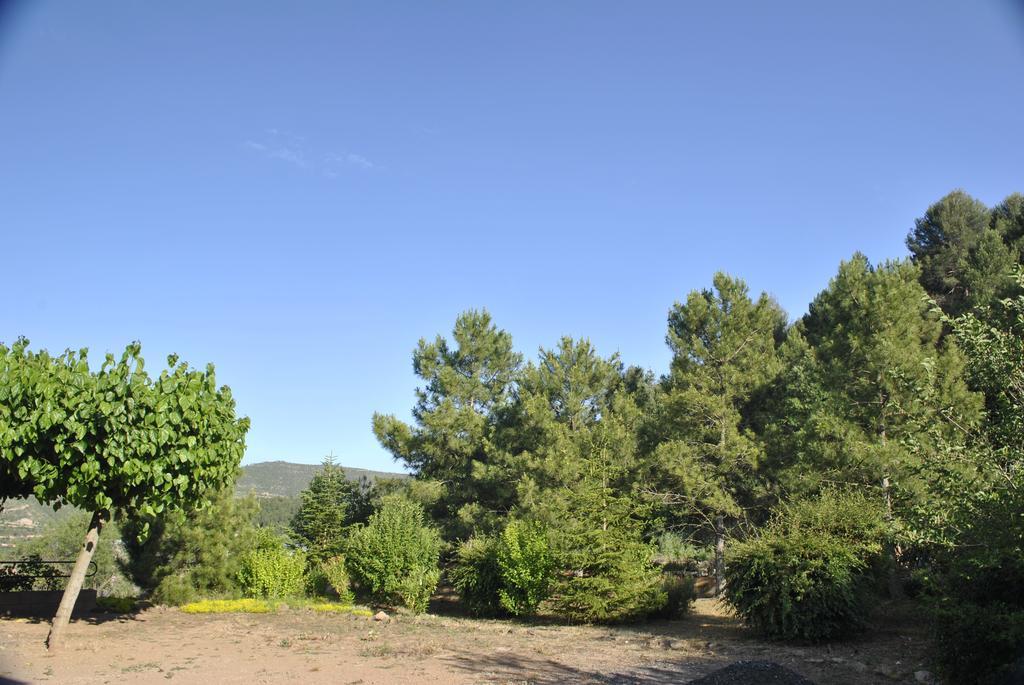 Hostal El Violi Cardona Exteriör bild
